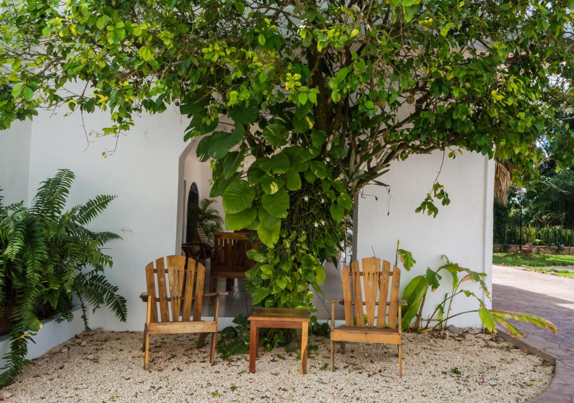 Hotel Boutique Casa Xaan バリャドリッド エクステリア 写真