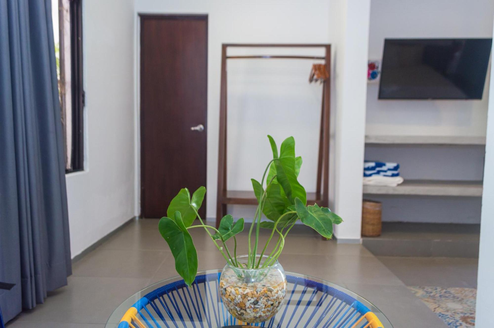 Hotel Boutique Casa Xaan バリャドリッド エクステリア 写真