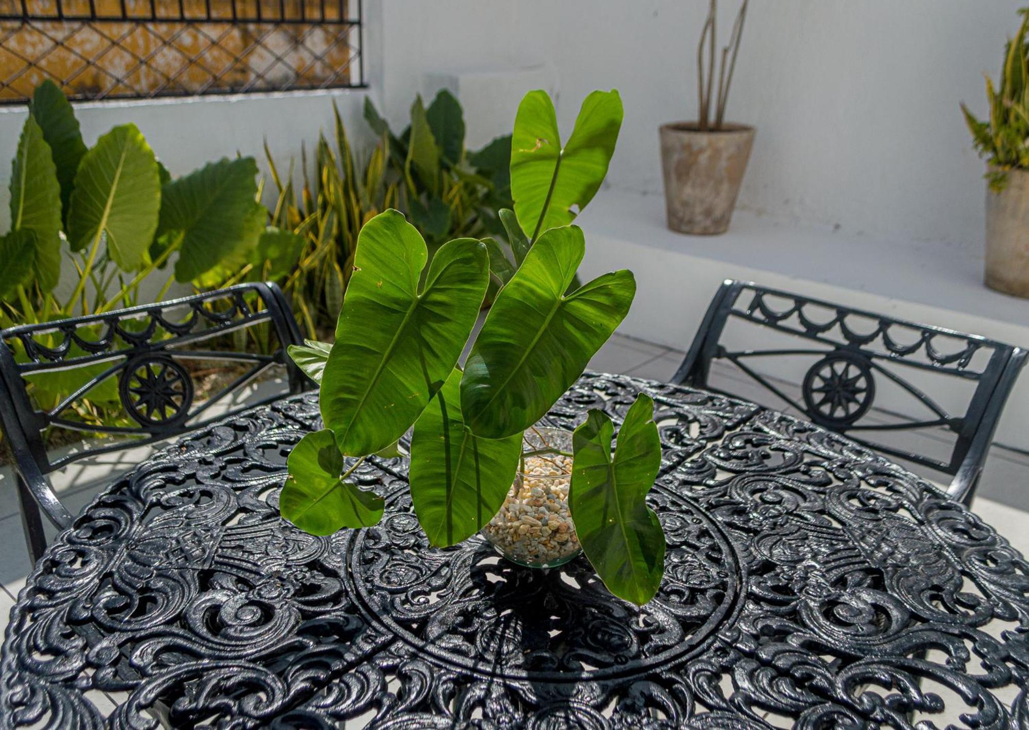 Hotel Boutique Casa Xaan バリャドリッド エクステリア 写真
